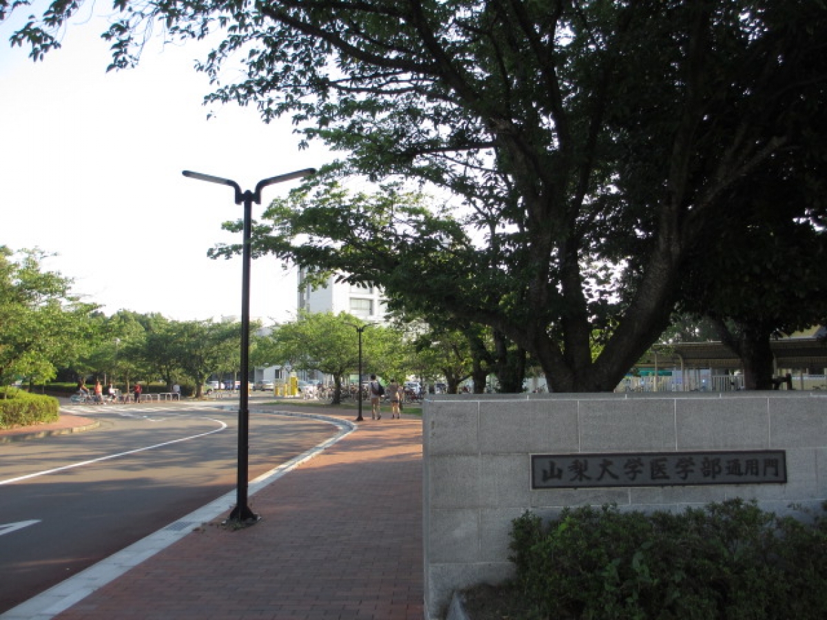 山梨大学　医学部　正門