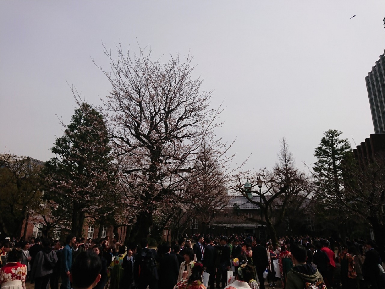 立教池袋_190327_0000