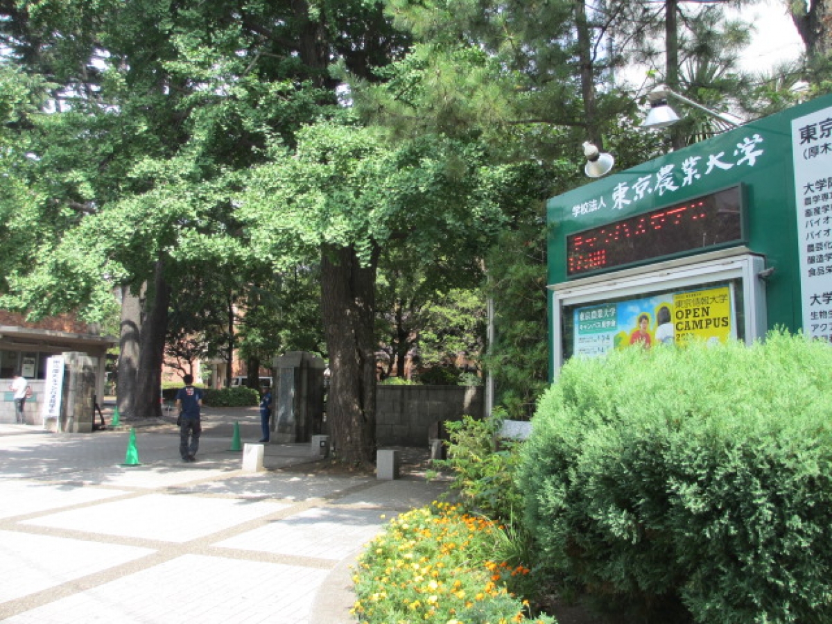 東京農業大学の正門前