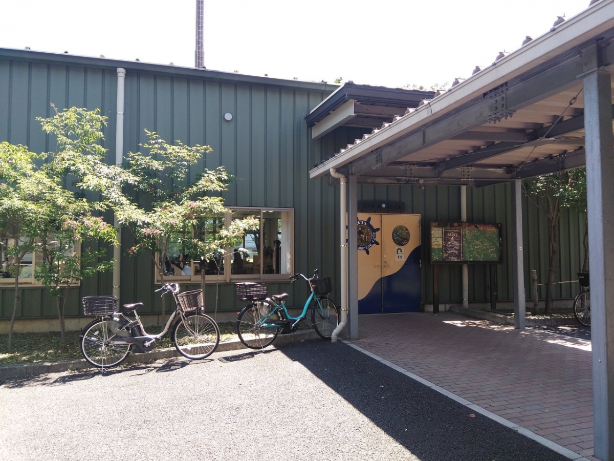 東京海洋大学　越中島キャンパス　学食広告　大学生向け広告　学内広告　食堂　マリンcafe