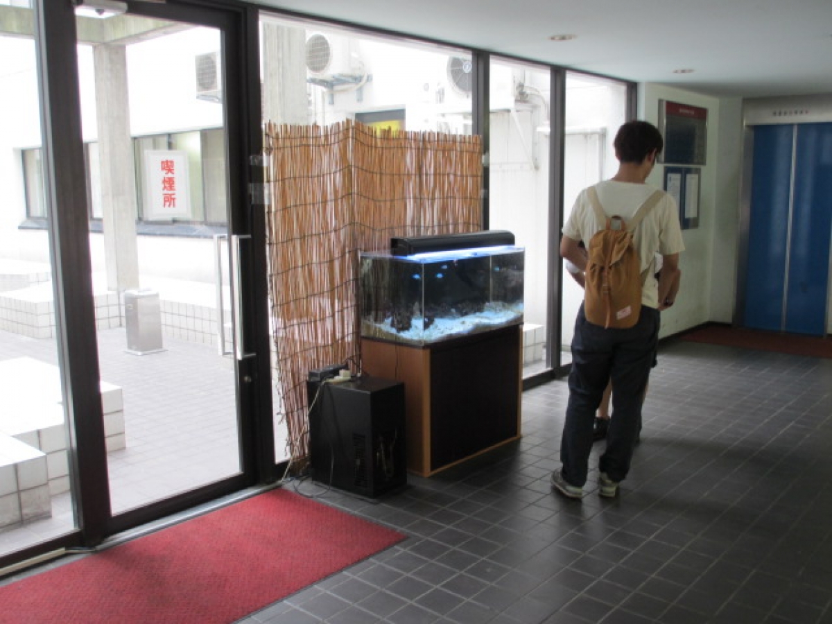 日本獣医生命科学大学の水槽