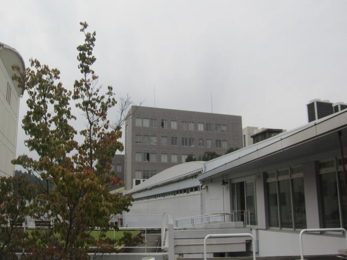 岡崎学園国際短期大学　人間環境大学