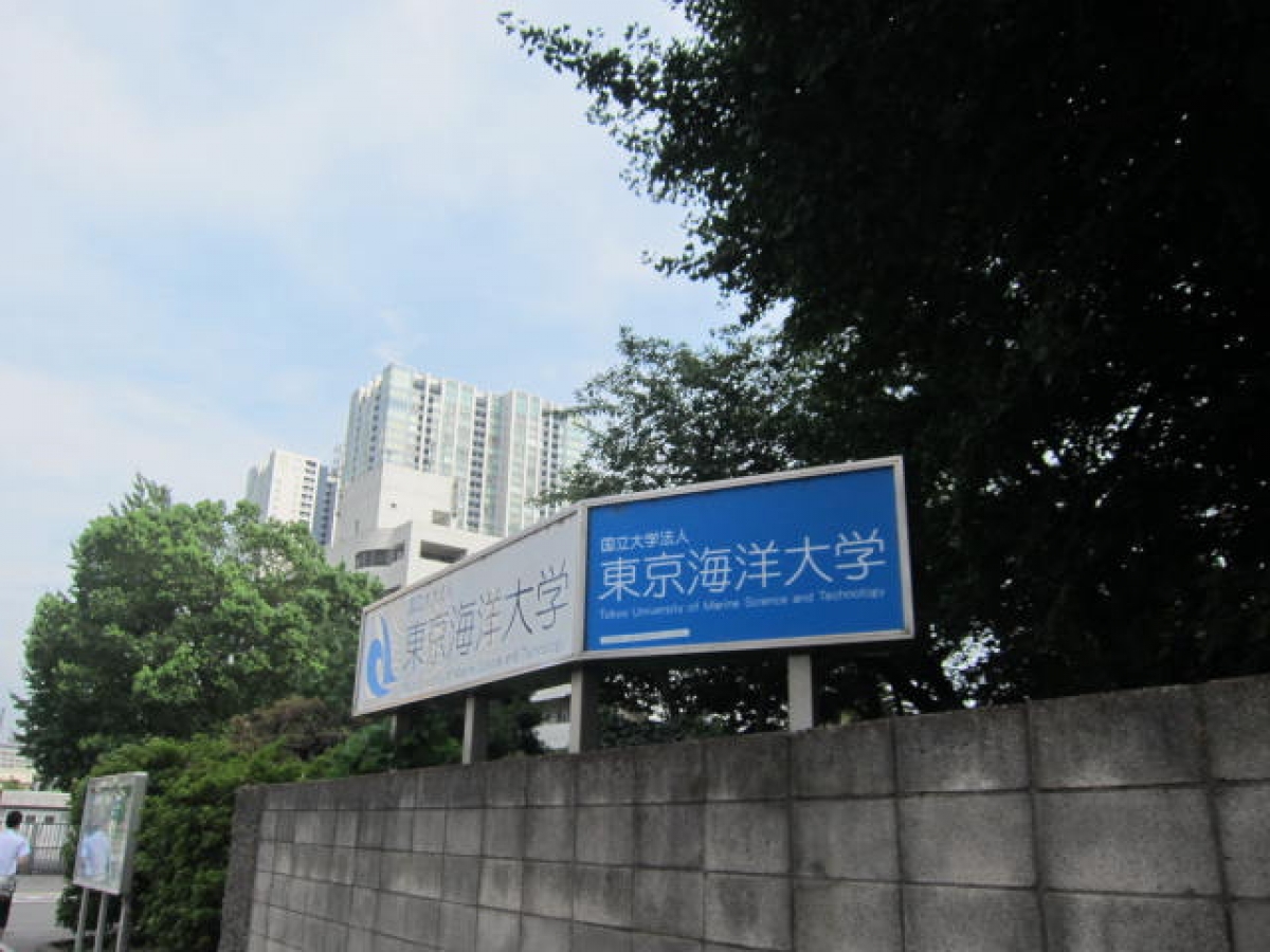東京海洋大学の正門脇