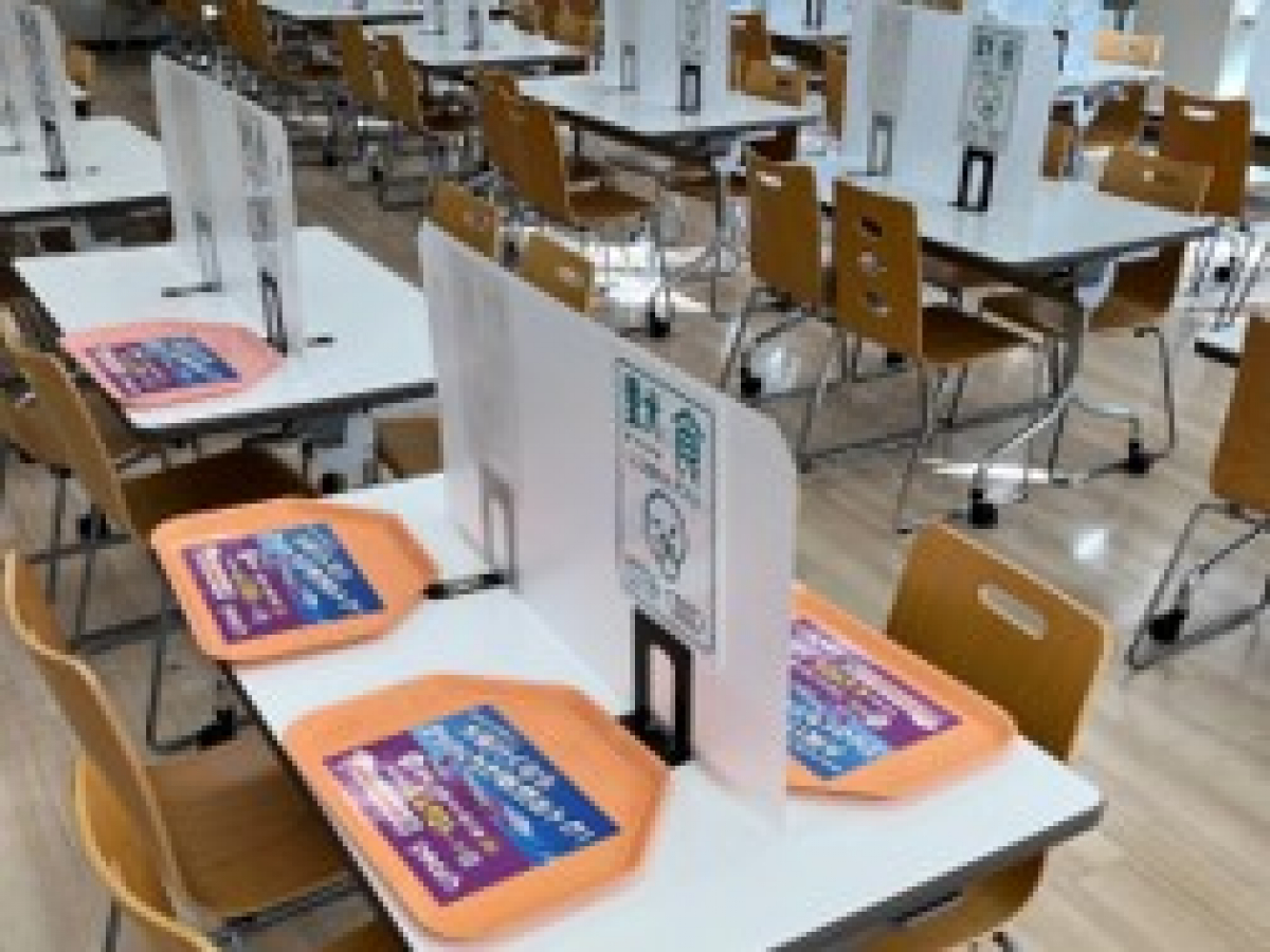 大学生向け