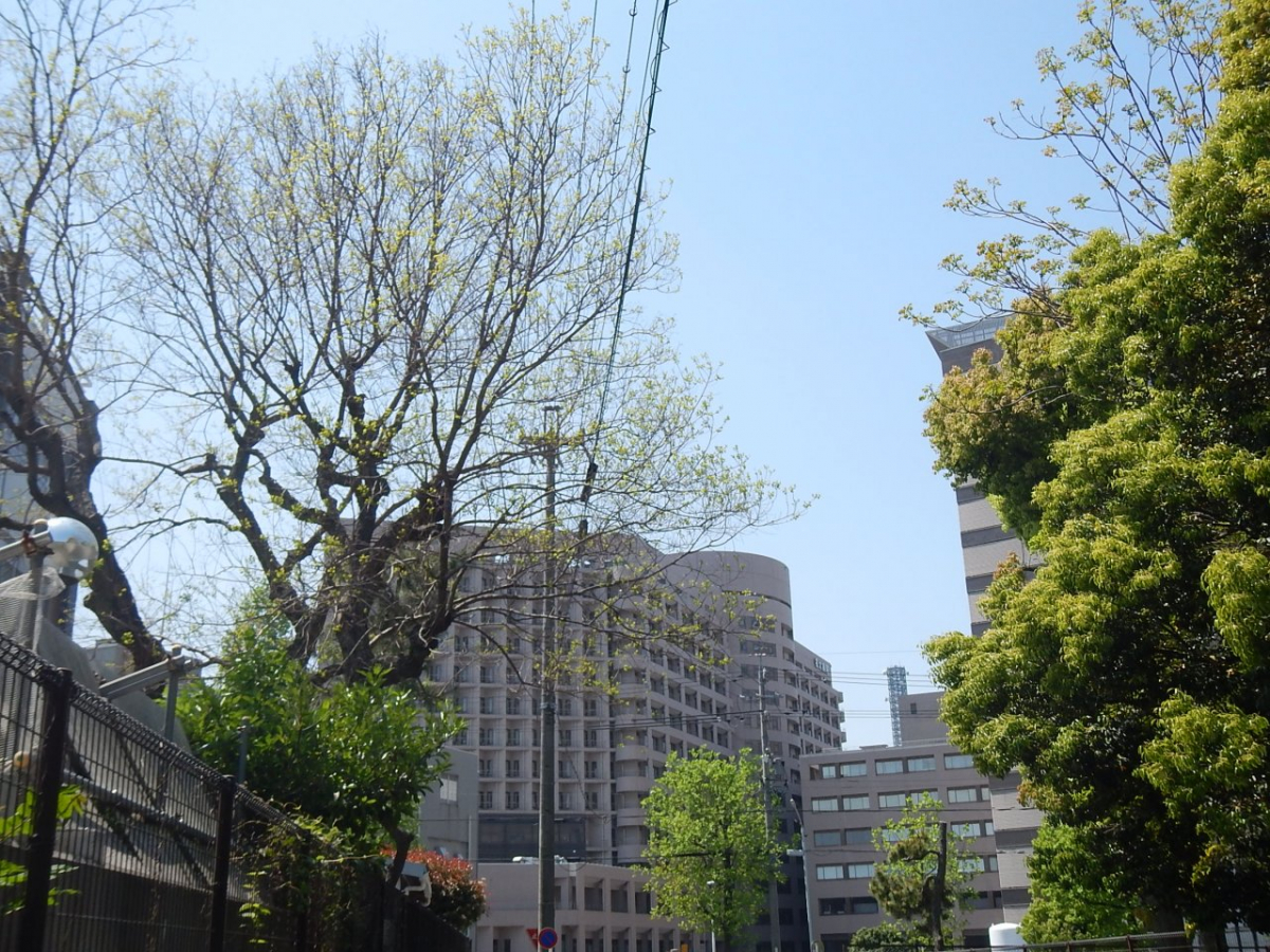 名古屋大学鶴舞キャンパスの外観