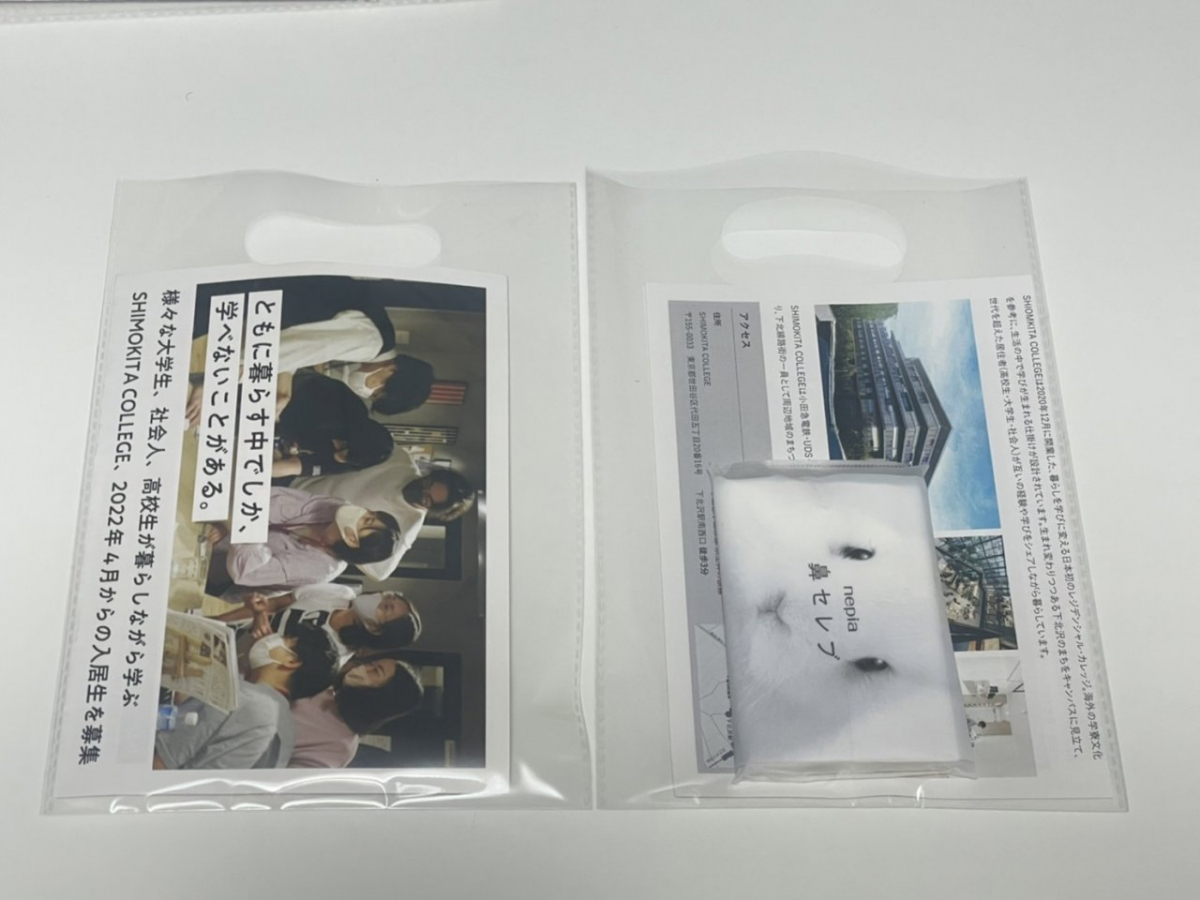 フライヤーバック