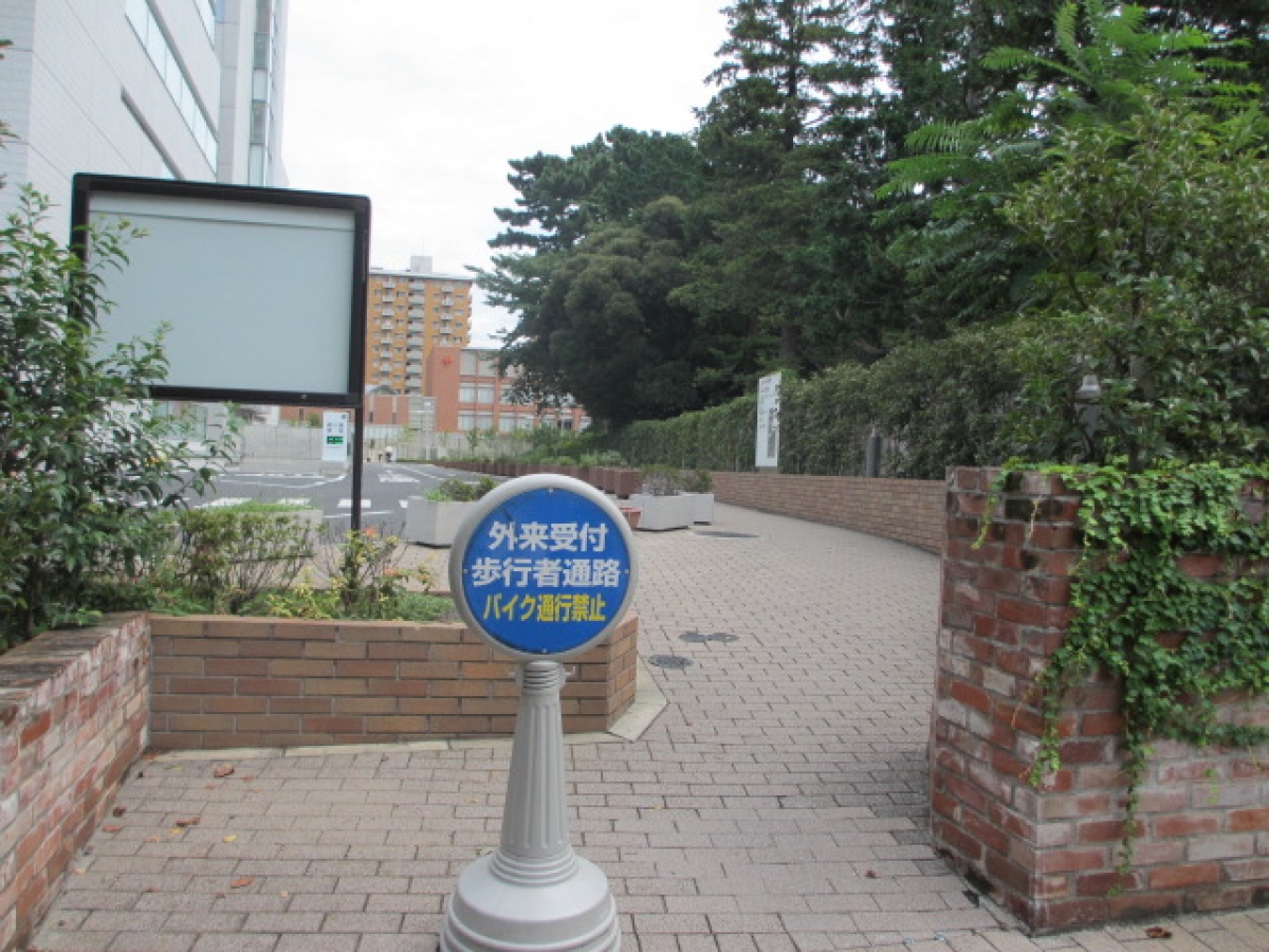 日本赤十字看護大学の正門