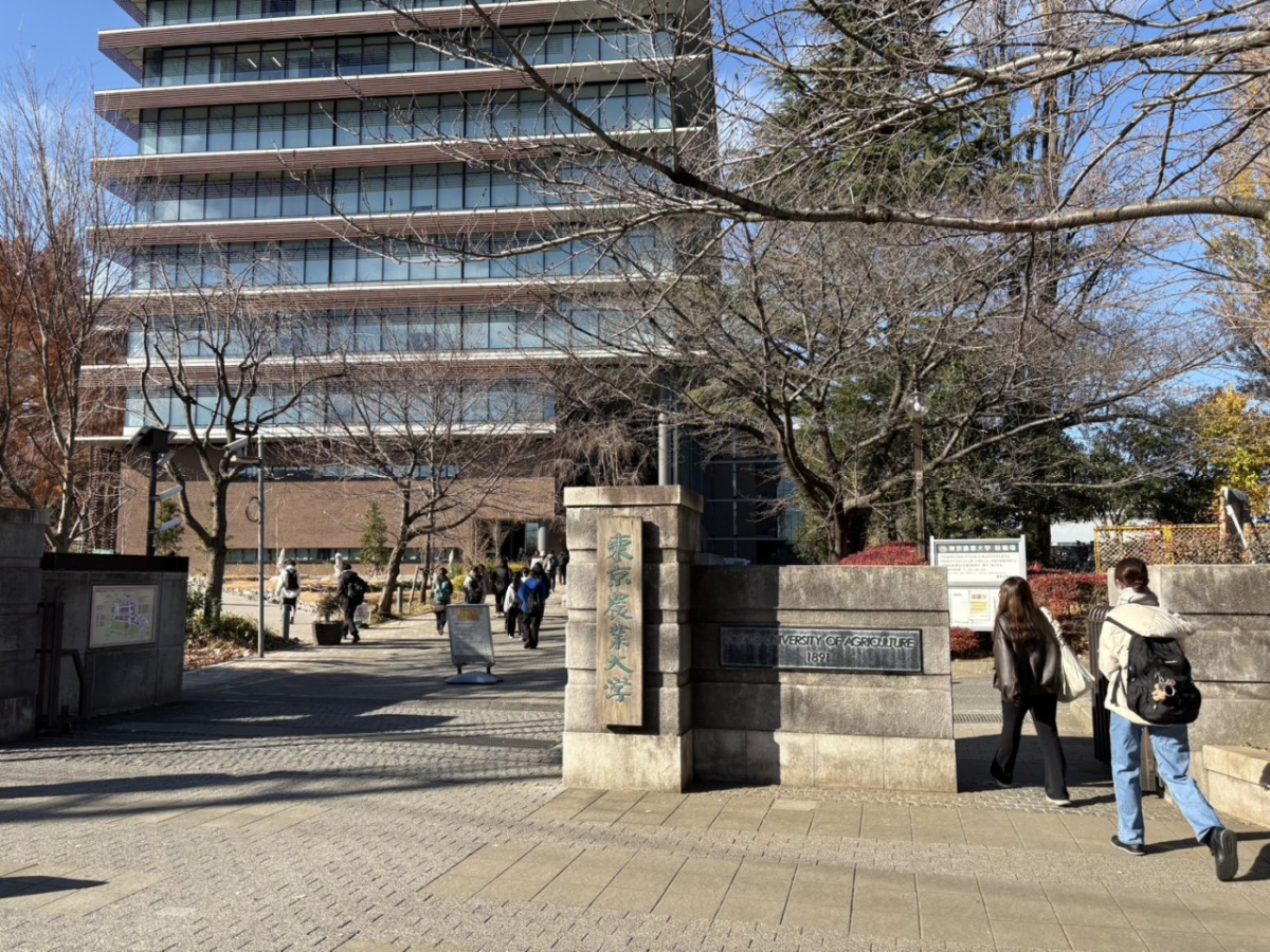 東京農業大学世田谷キャンパスでのサンプリング