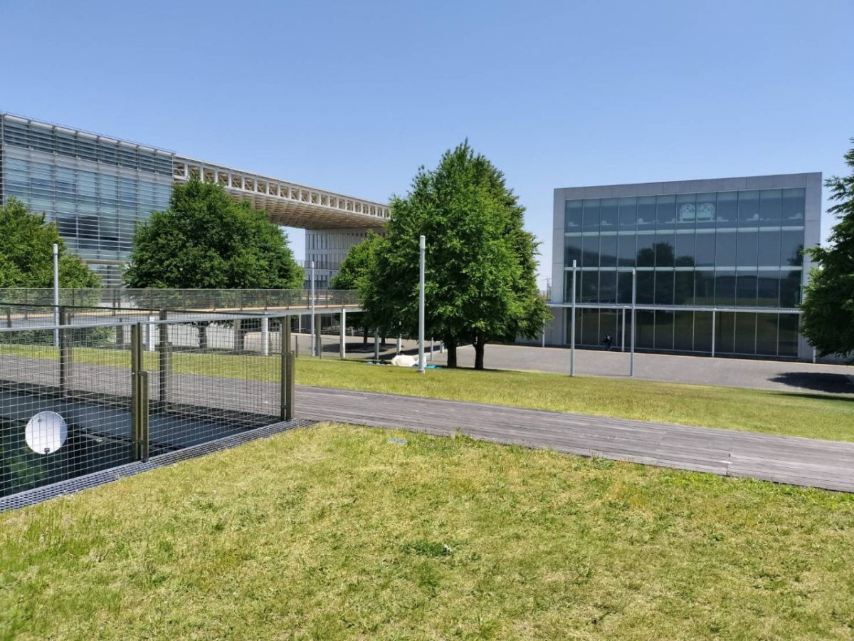 埼玉県立大学