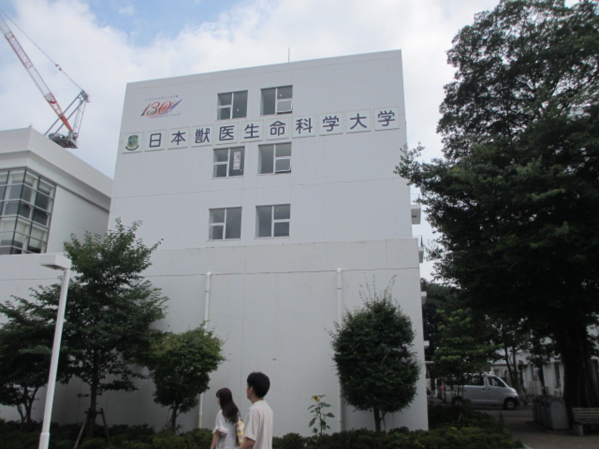 日本獣医生命科学大学の外観
