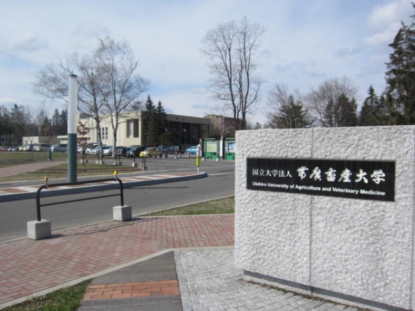 帯広畜産大学の正門 正門前サンプリング 広告 比較