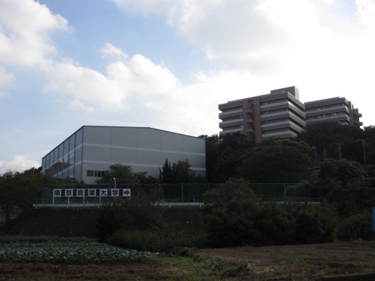 東京農業大学　畑