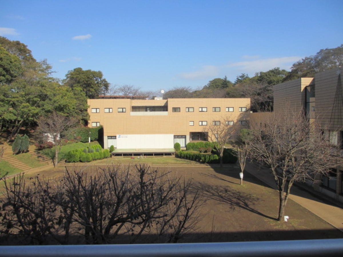 淑徳大学　外観