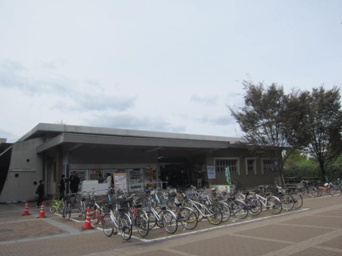 鹿児島大学　鹿大　郡元キャンパス　こおりもと