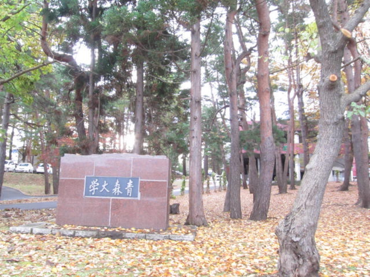 青森大学の正門でサンプリング