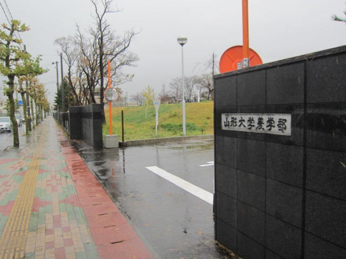 山形大学鶴岡キャンパスの正門