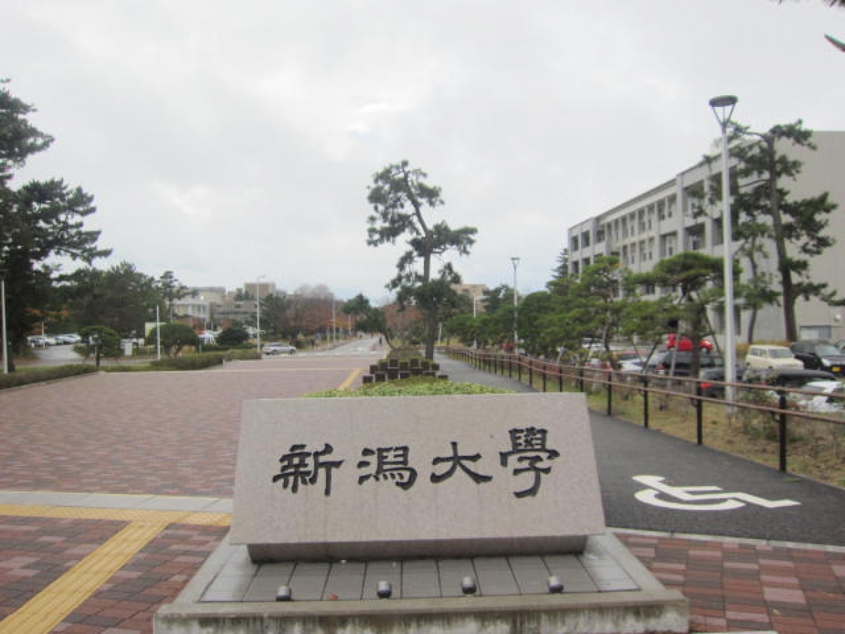 新潟大学　五十嵐キャンパス　新大
