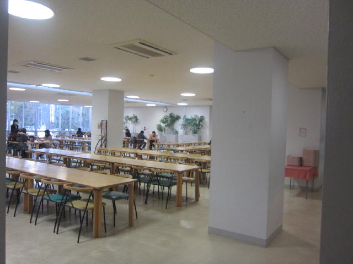 新潟青陵大学