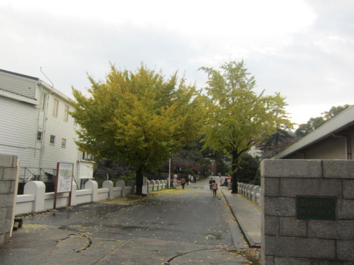 長崎大学　片淵　経済