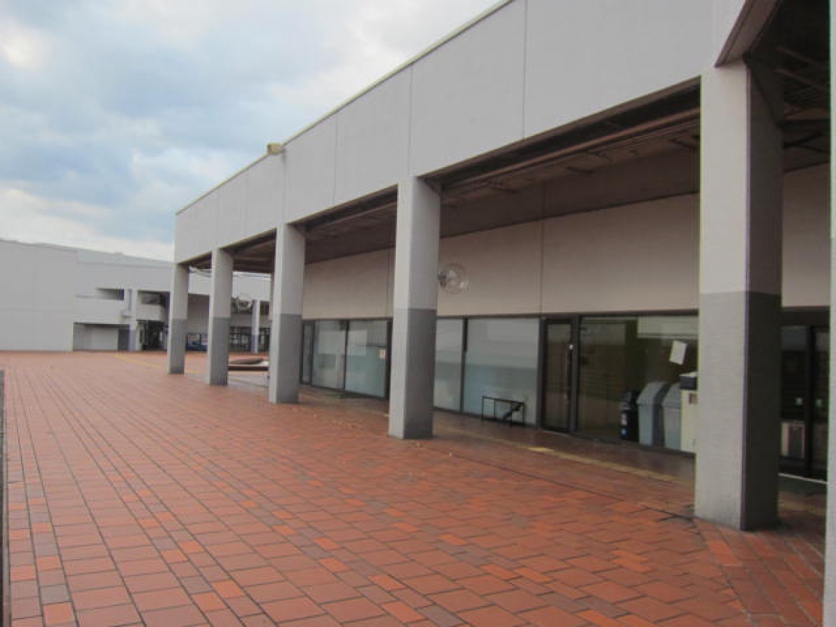 熊本県立大学　熊本女子大学
