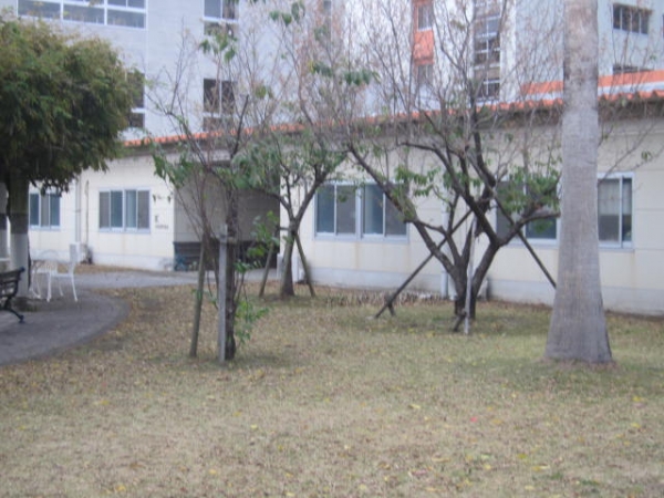 九州保健福祉大学 九保大 延岡市