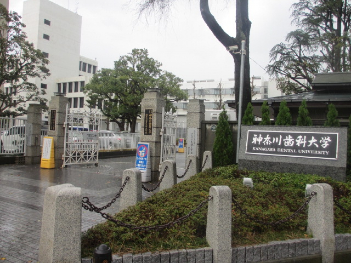 神奈川歯科大学　横須賀　正門