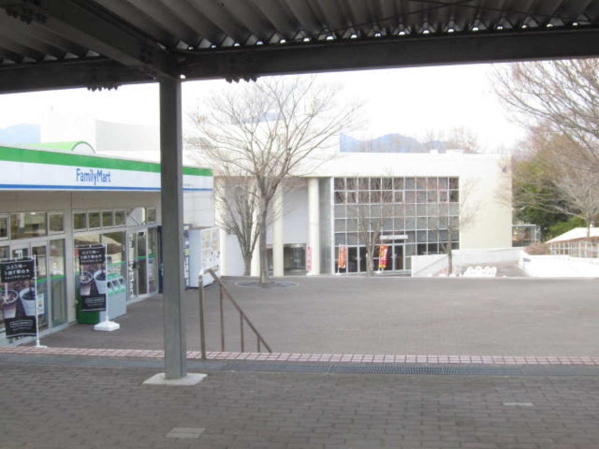 神奈川大学　神大　駅伝　レスリング　湘南