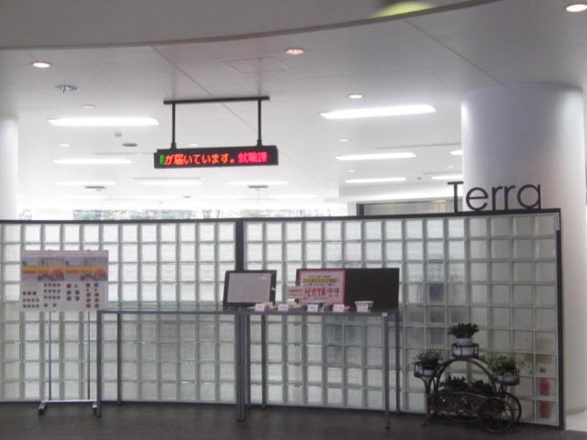 神奈川大学　神大　駅伝　レスリング　湘南