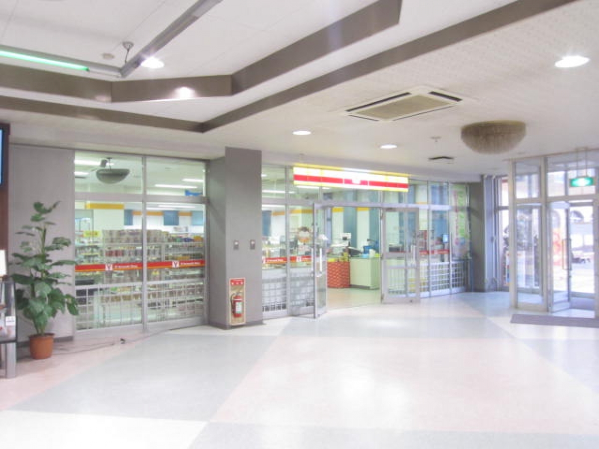 平成国際大学　ロケ　撮影