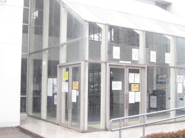 桐蔭横浜大学 桐蔭学園 桐蔭高校