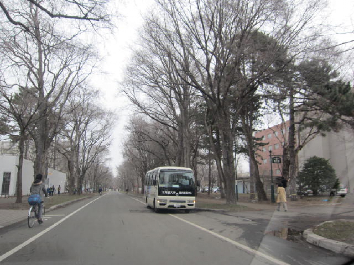 北海道大学内循環バス　北大生向け　広告　実績　比較