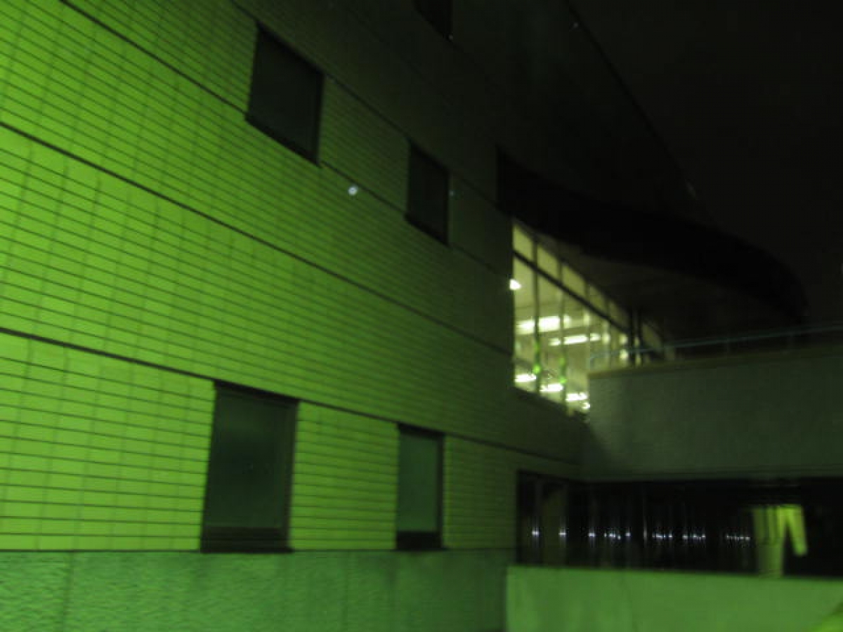 日体大　日本体育大学　エッサッサ　集団行動