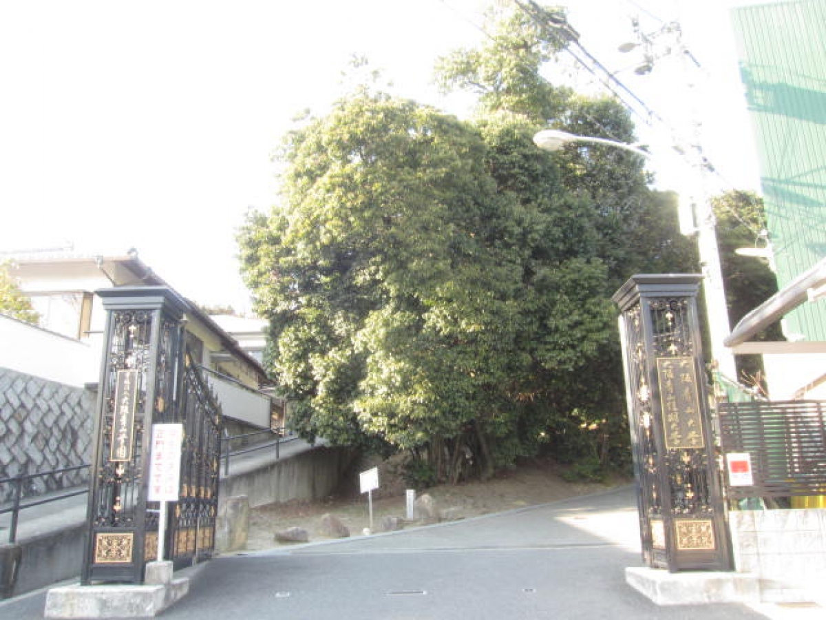 大阪青山大学