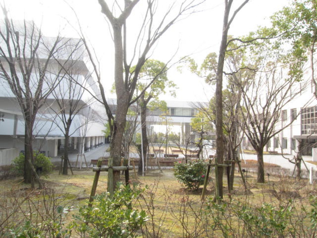 大阪薬科大学の中庭
