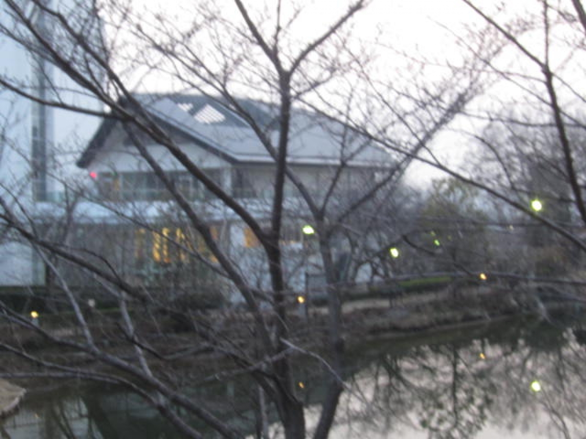大阪経済法科大学花岡キャンパスのふれあい池