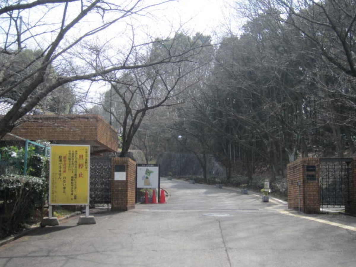 教育 大学 学院 桃山