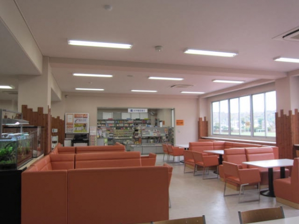 常葉大学 静岡 常葉学園