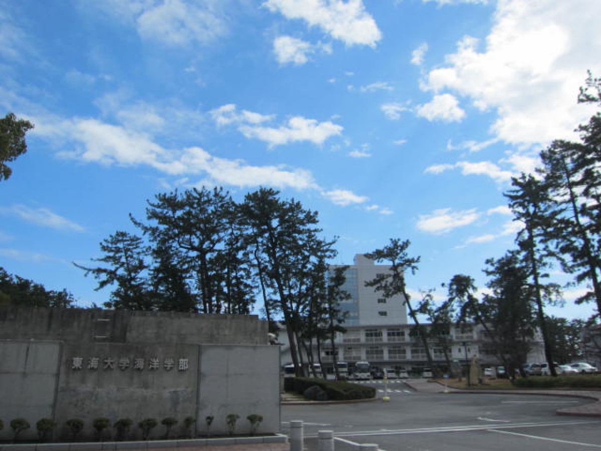 東海大学清水キャンパスの正門