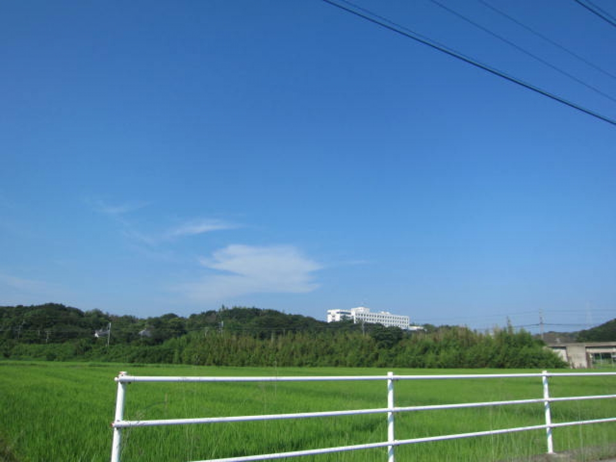 日本福祉大学　日福（にっぷく）日福大（にっぷくだい）