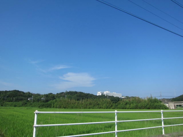 日本福祉大学 日福(にっぷく)日福大(にっぷくだい)