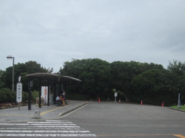 和歌山大学