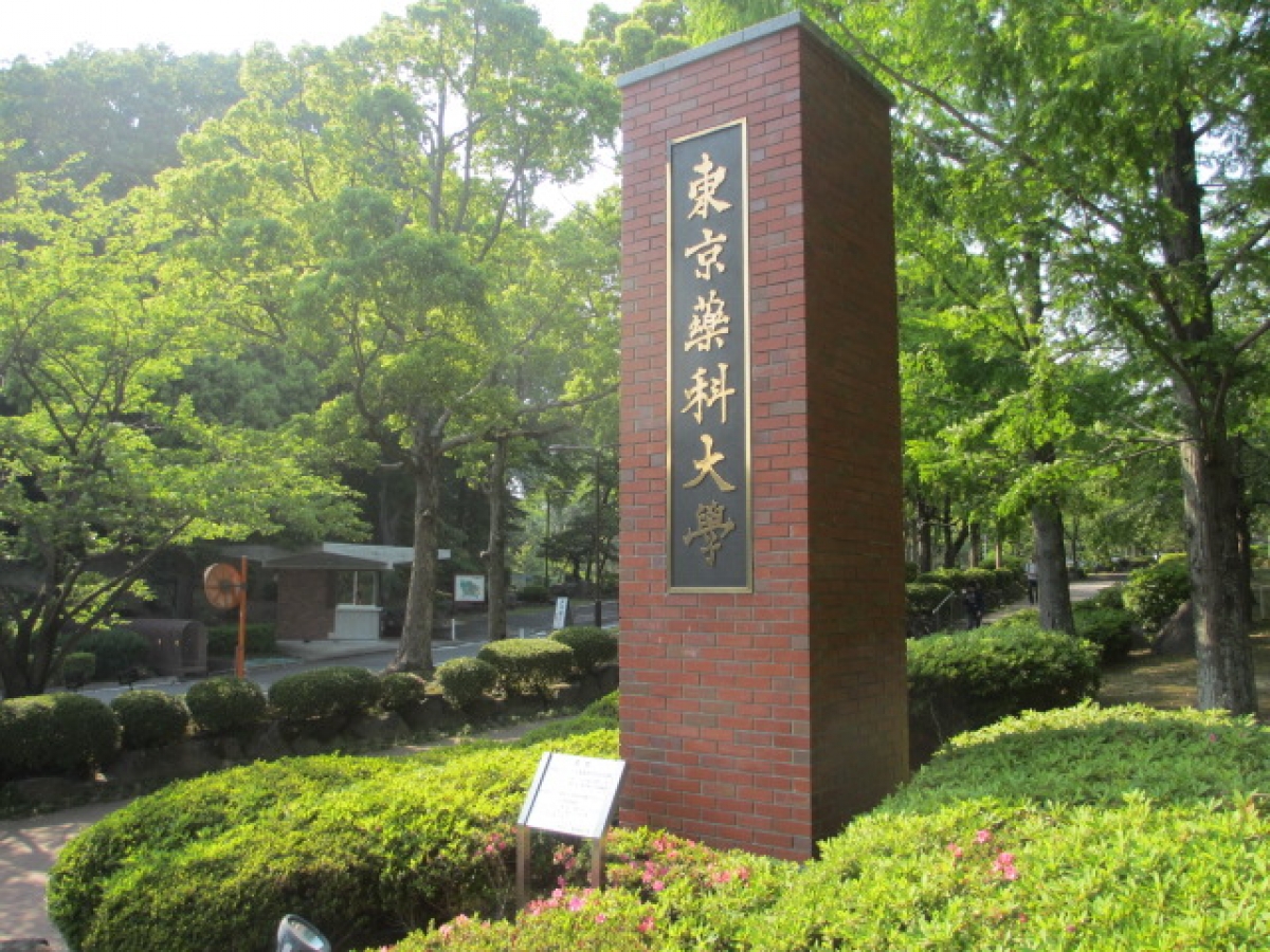 東京薬科大学の正門
