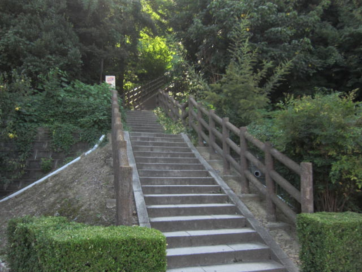 星城大学で広告