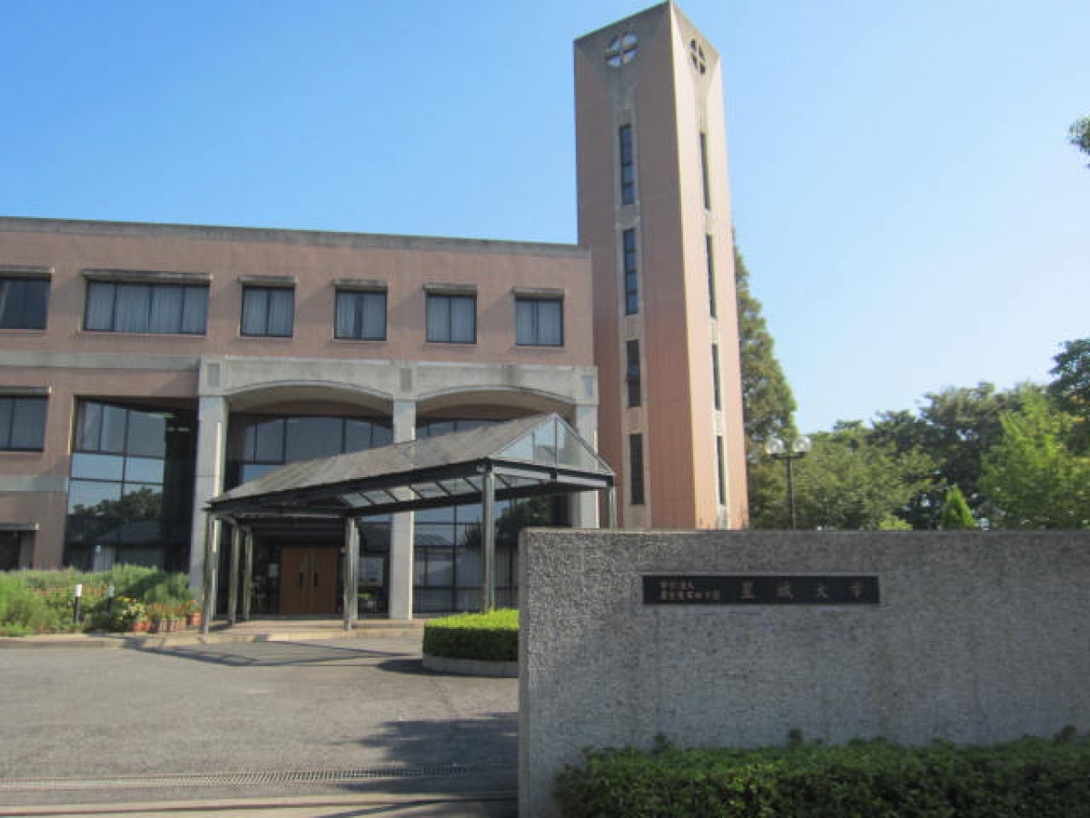 星城大学で広告