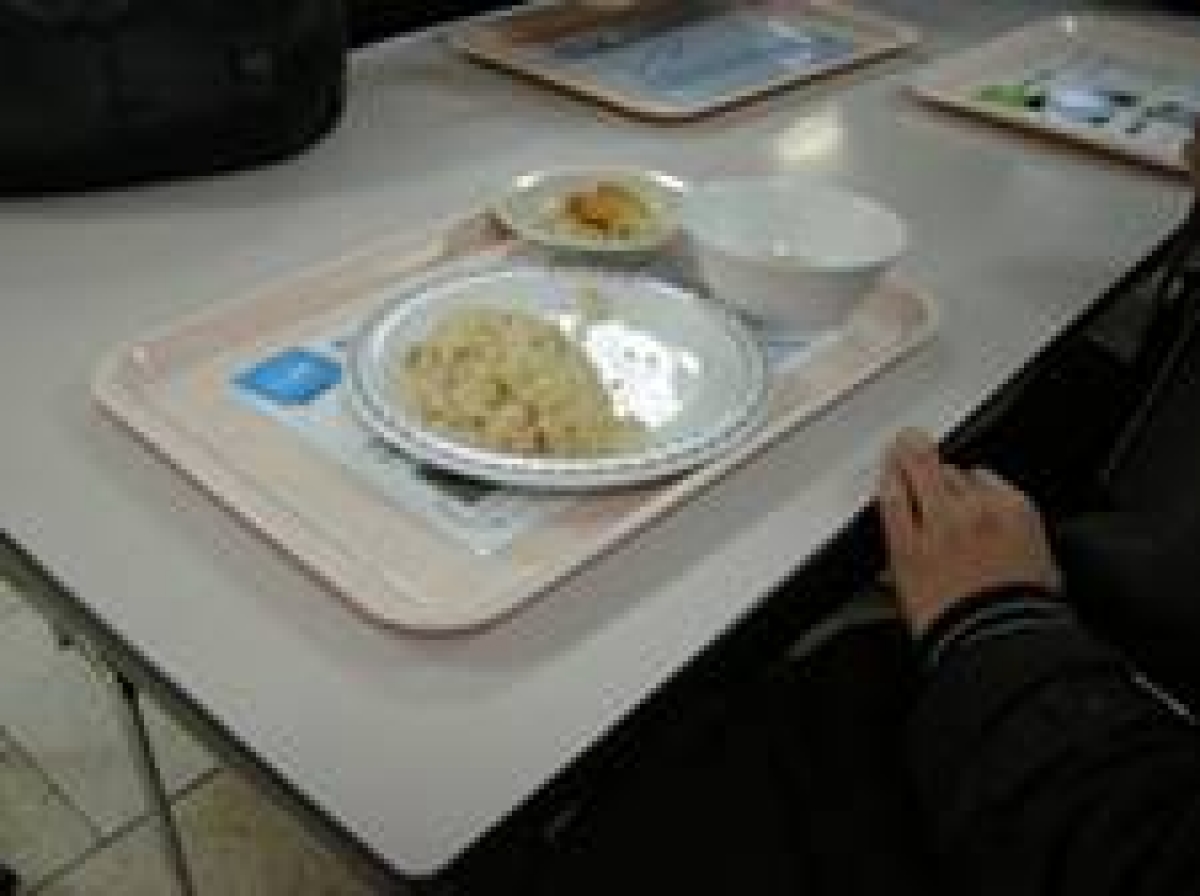 写真1