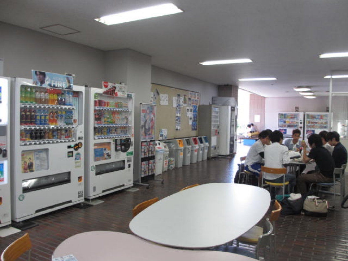 写真4