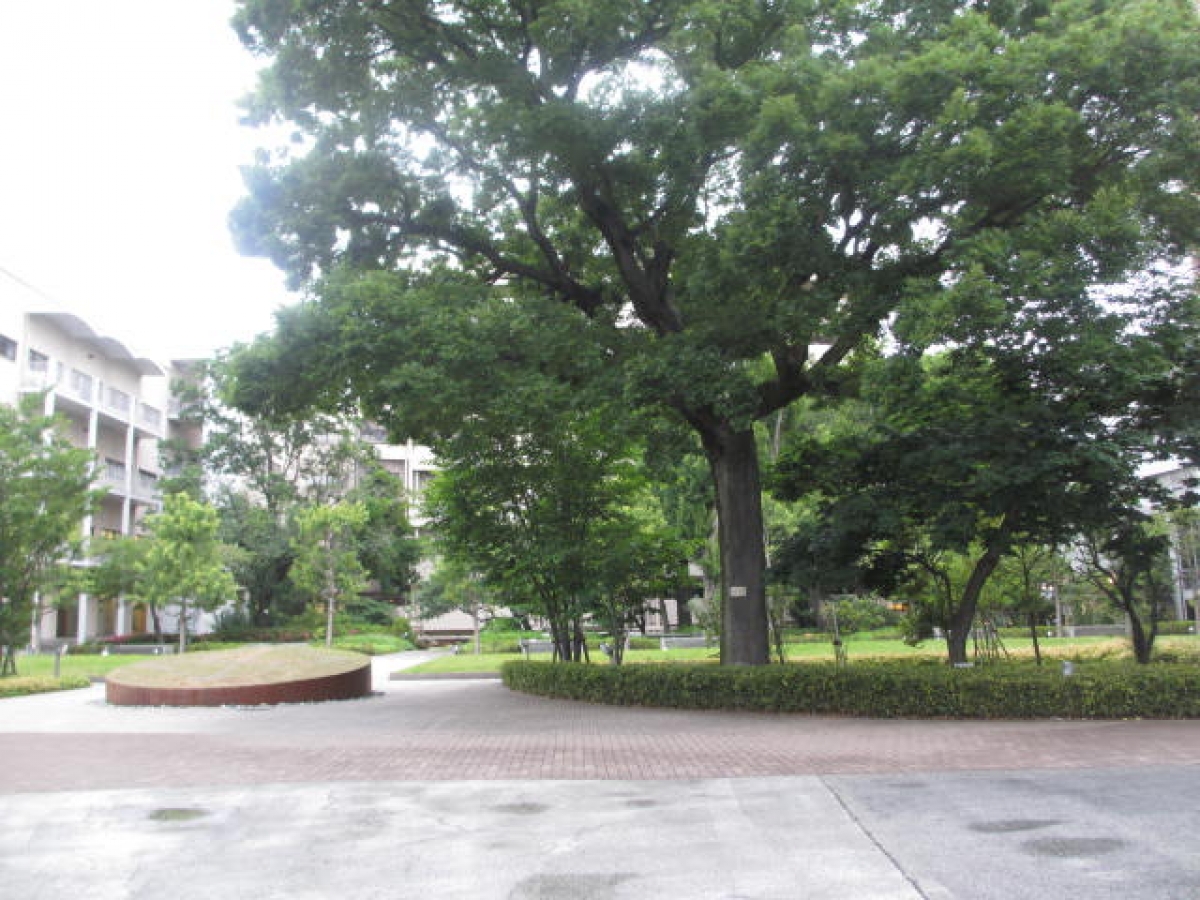 日本女子大学目白キャンパスの泉プロムナード