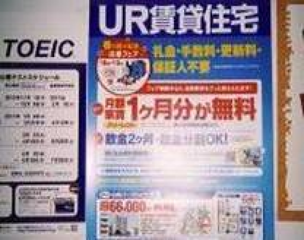 写真2