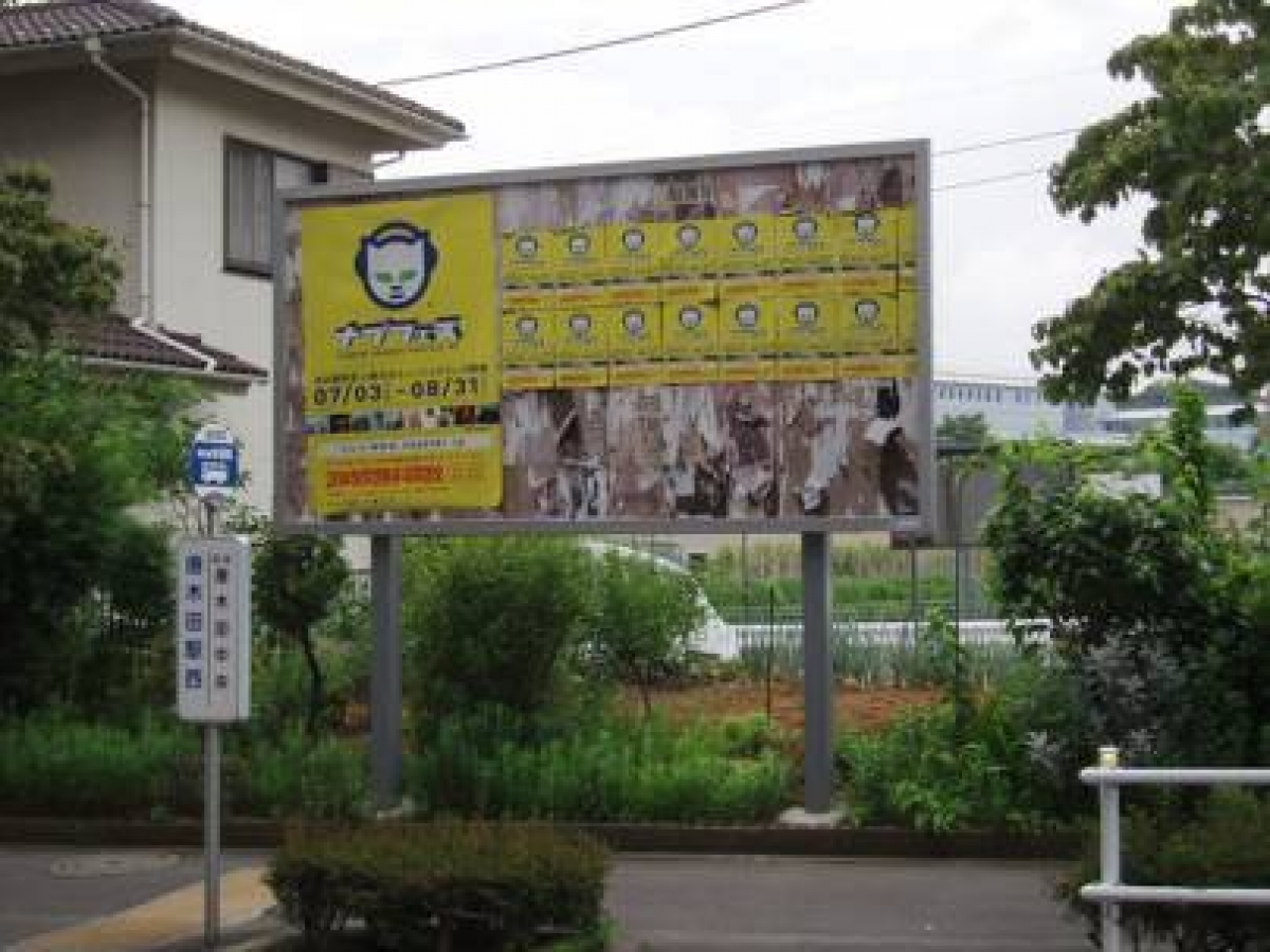 写真2