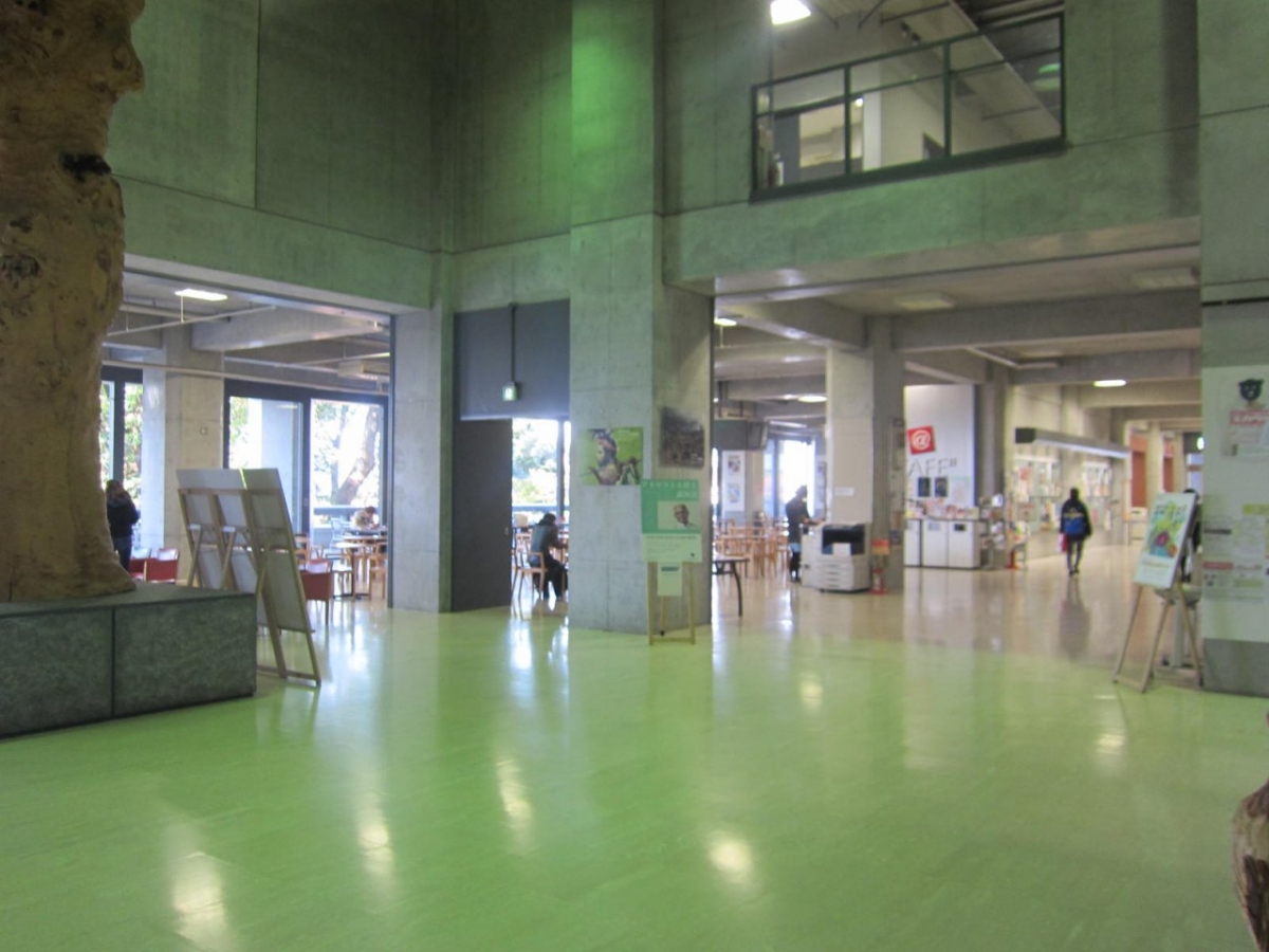 京都芸術大学　秋本康　AKB衣装